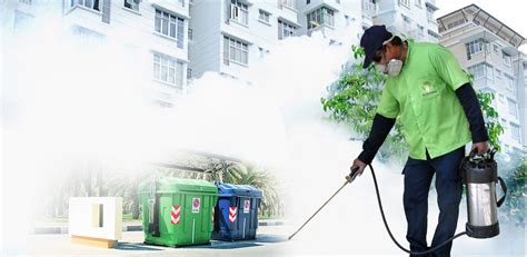 pest control thunderbolt|Top 10 Best Pest Control in Thunderbolt, GA .